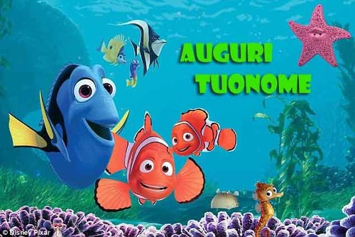 Cialda ricerca dory - cialda, nemo